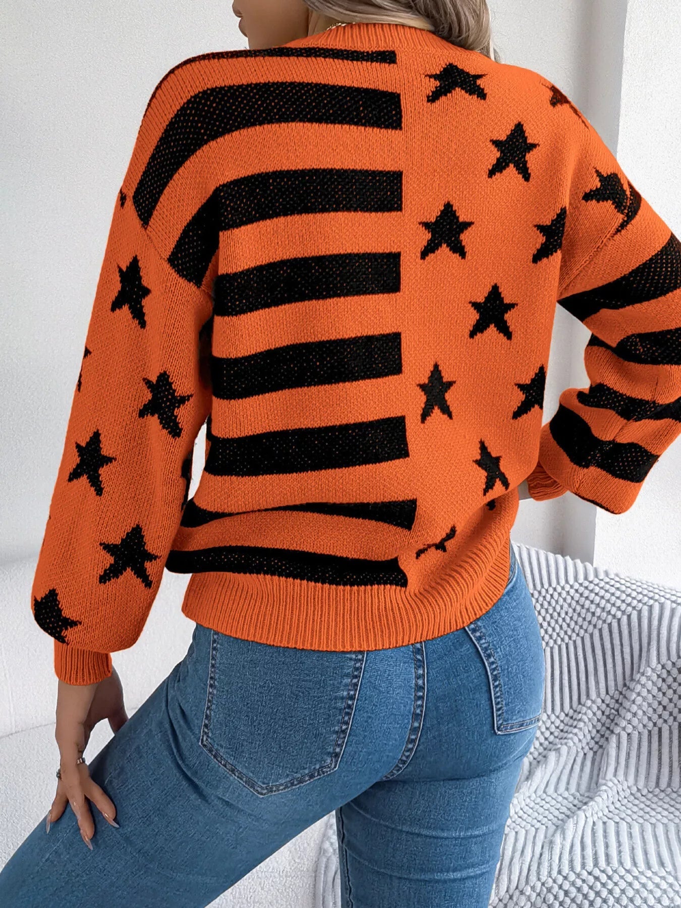 Stars and Stripes Pattern Casual Round Neck Sweater 