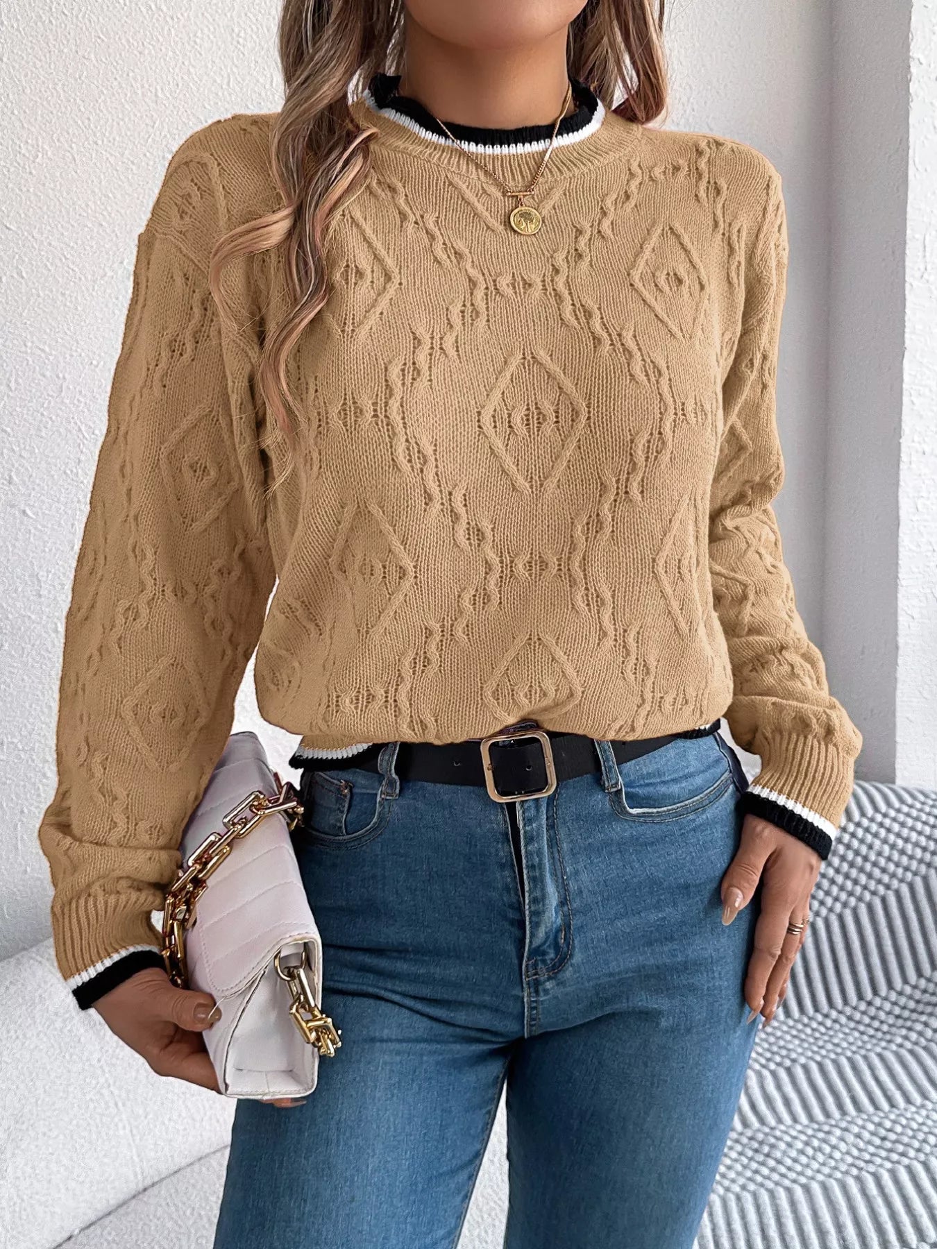 Contrast Trim Round Neck Sweater 