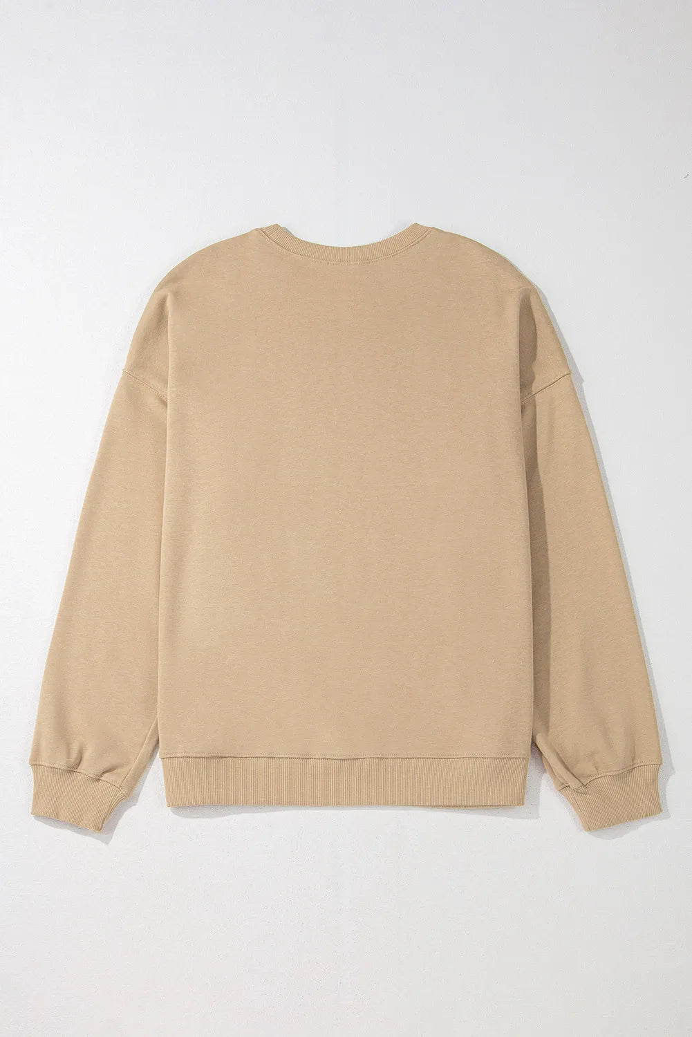 Plus Size Round Neck Long Sleeve Sweatshirt 