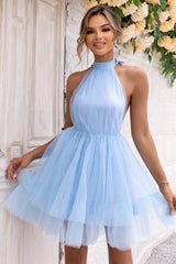 Halter Neck Backless Mesh Dress 