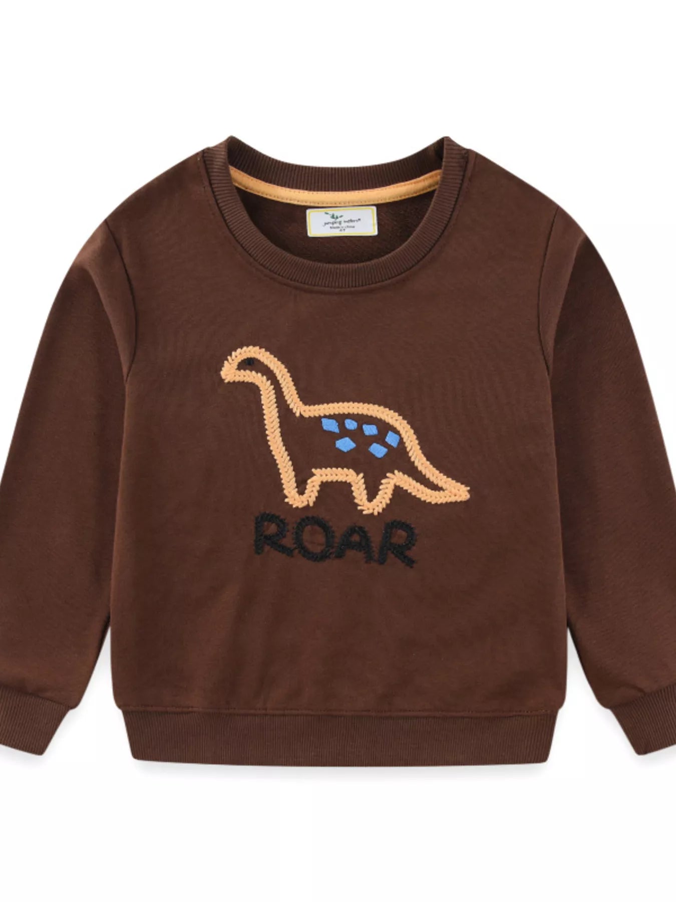 Children's Dinosaur Embroidered Crew Neck Sweatshirt 