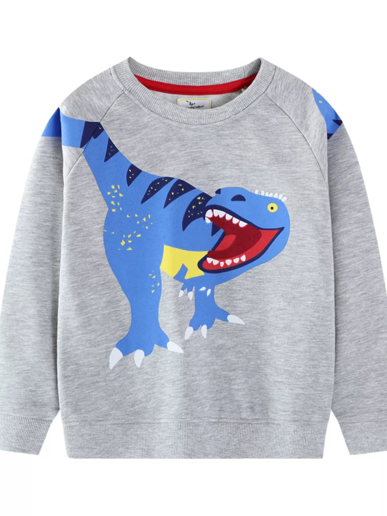 Children's Dinosaur Crew Neck Sweatshirt 