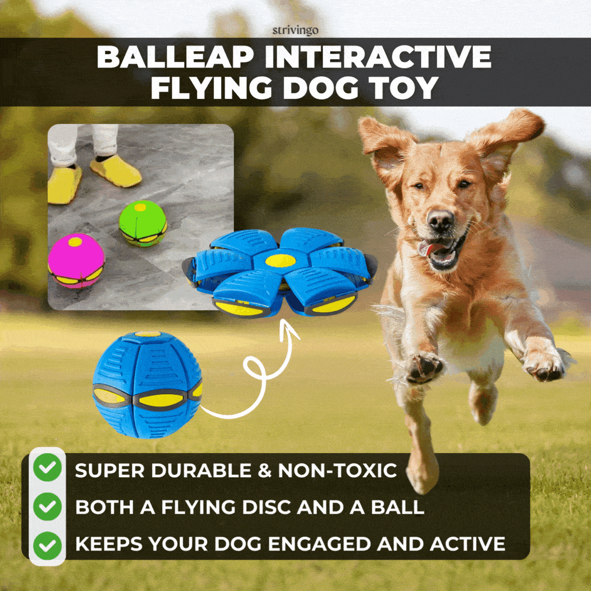 Balleap Interactive Flying Dog Toy 