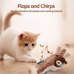 Buzzy BirdBuddy Cat Toy | Interactive, USB Rechargeable 