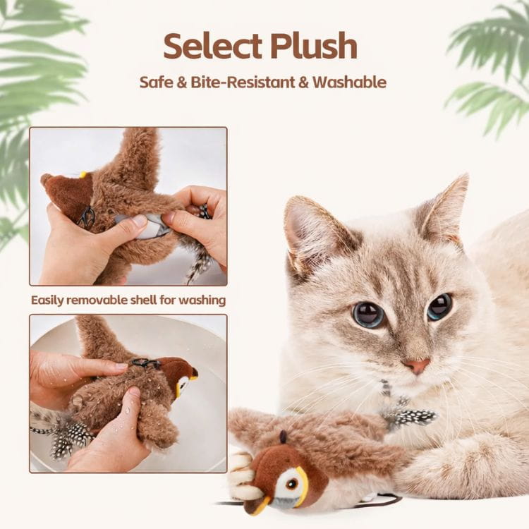 Buzzy BirdBuddy Cat Toy | Interactive, USB Rechargeable 