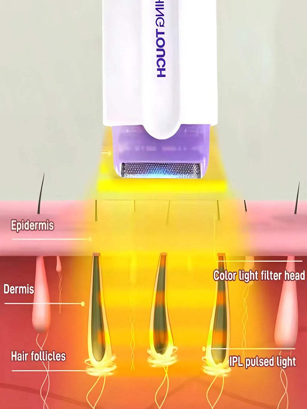 Professional Electric Shaver – Facial, Leg, Bikini & Body Hair Removal for Women
