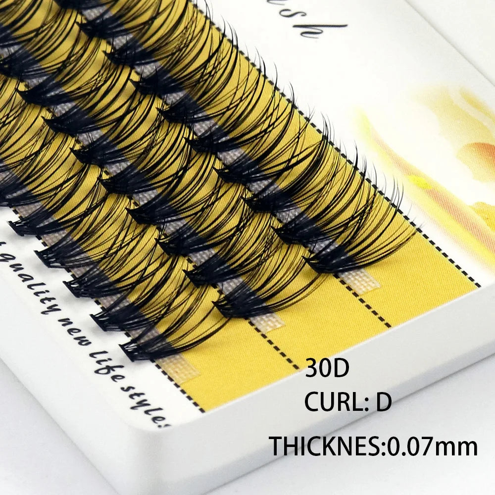 IEEYEEY Individual Cluster Eyelash Extensions, 60-Bundle Box dylinoshop