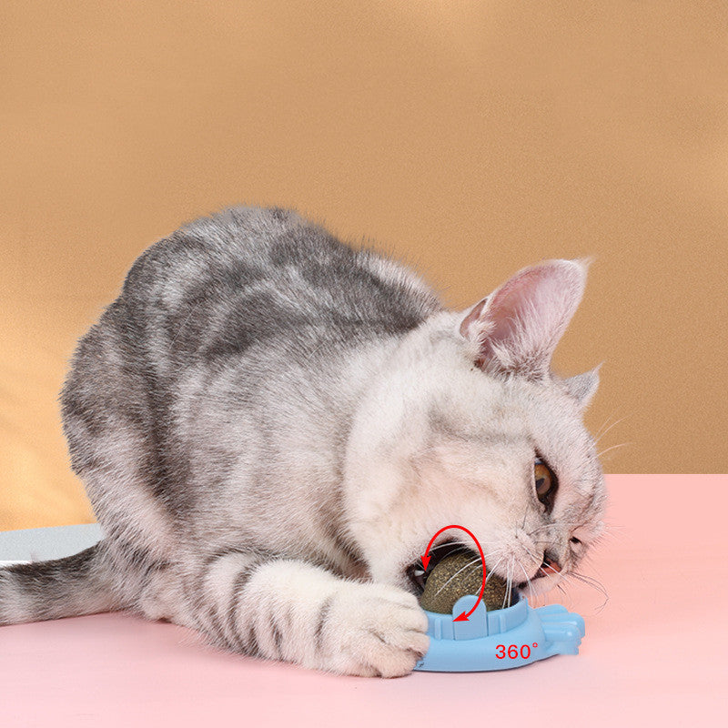 Catnip Balls Cat Treats: Fun, Healthy, and Irresistible for Your Cat 🐾 (3pcs) 