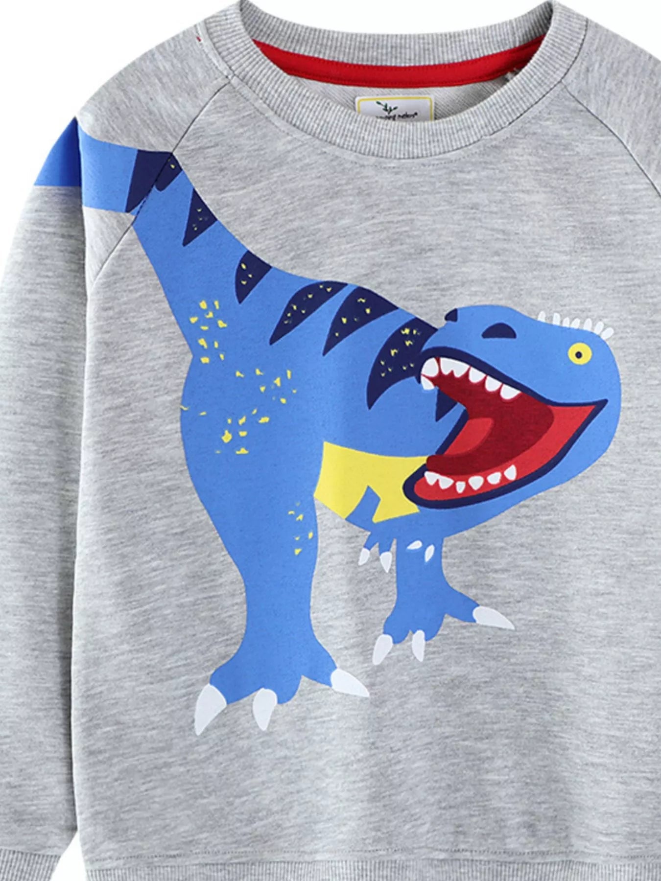 Children's Dinosaur Crew Neck Sweatshirt 
