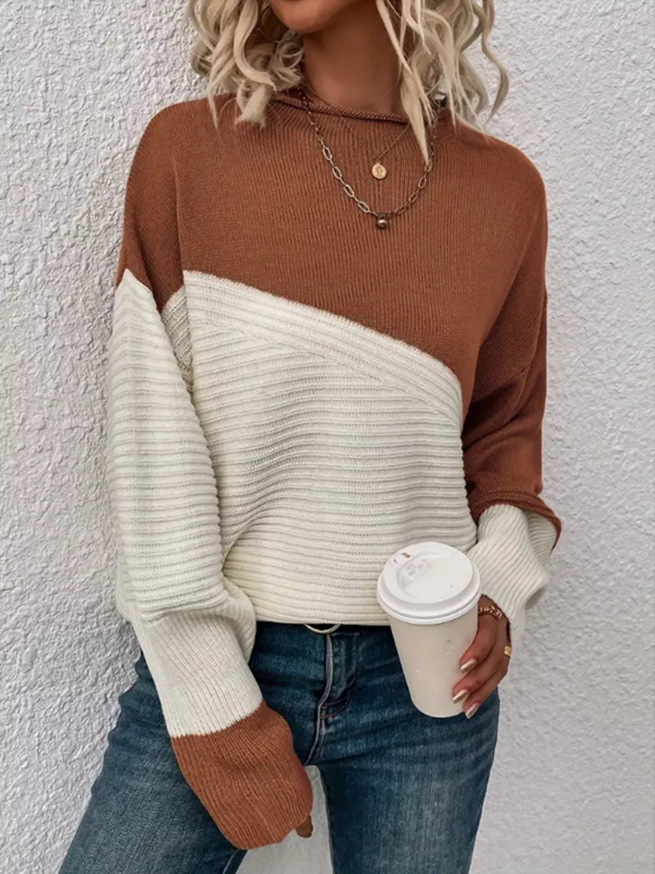 Color Block Ribbed Knit Sweater 