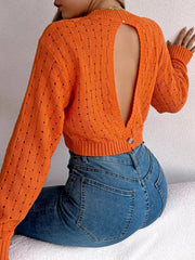 Cutout Back Openwork Round Neck Long Sleeve Sweater 