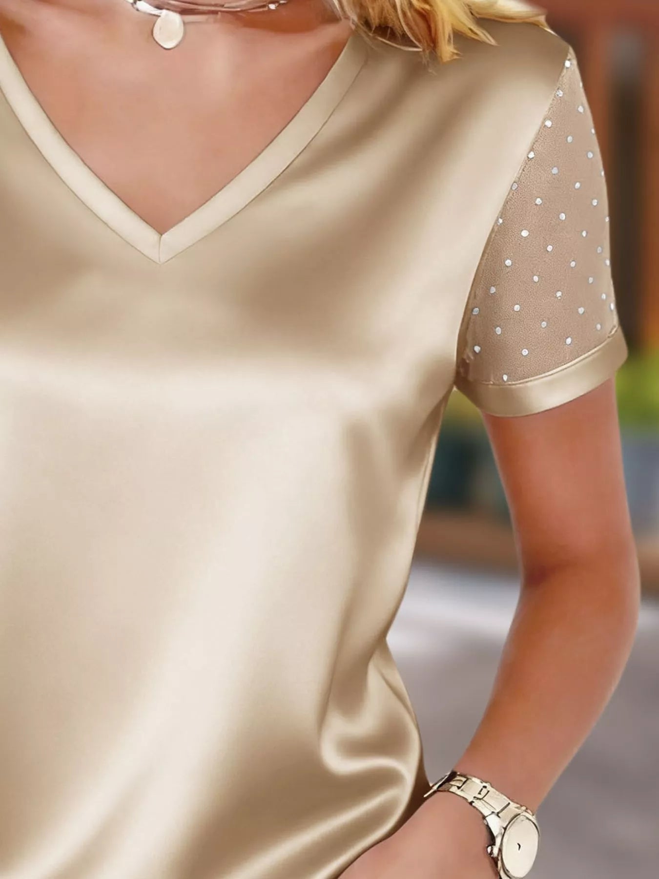 Sheer Sleeve V-Neck Top 