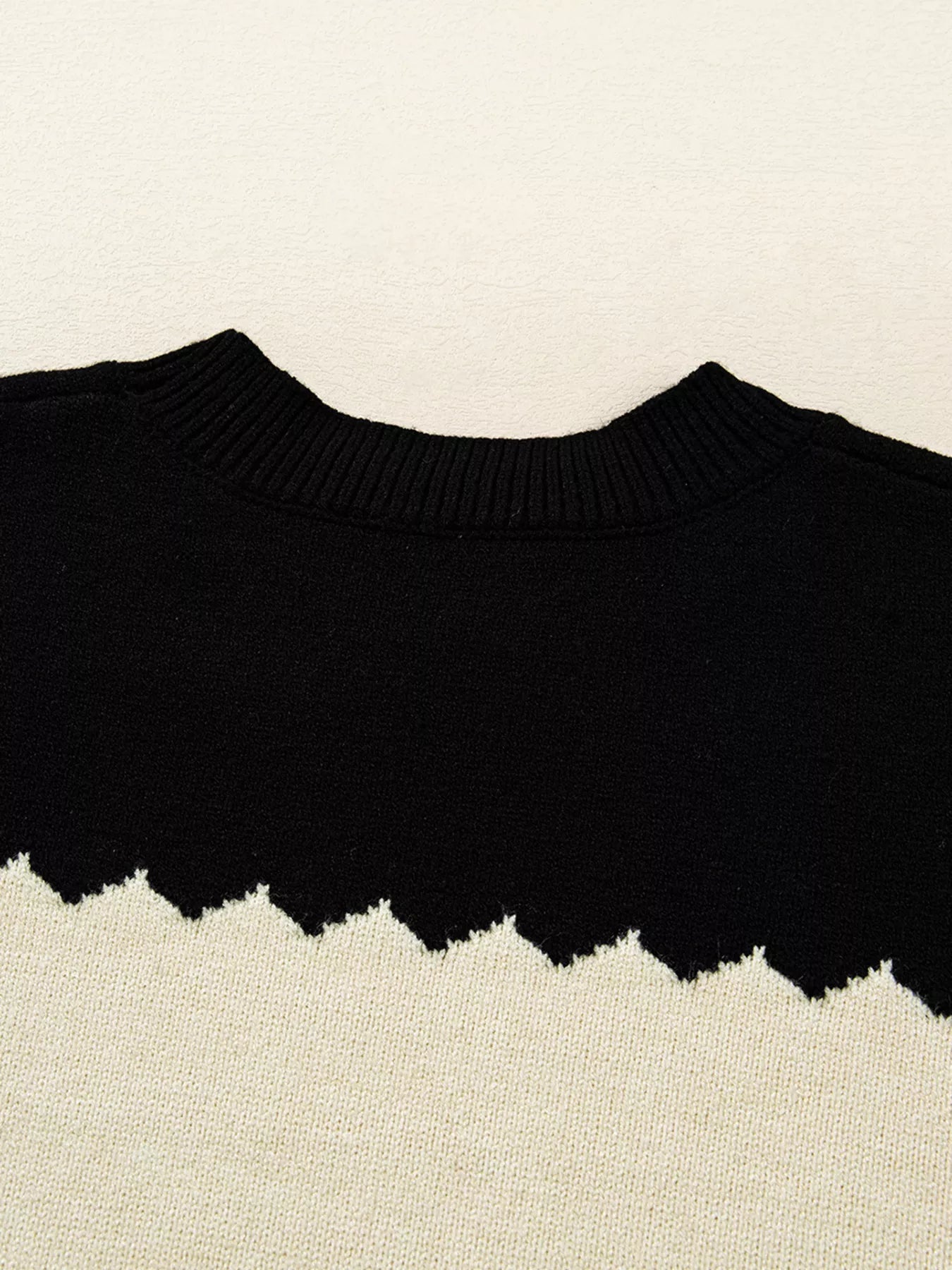 Color Block Crew Neck Drop Shoulder Sweater 