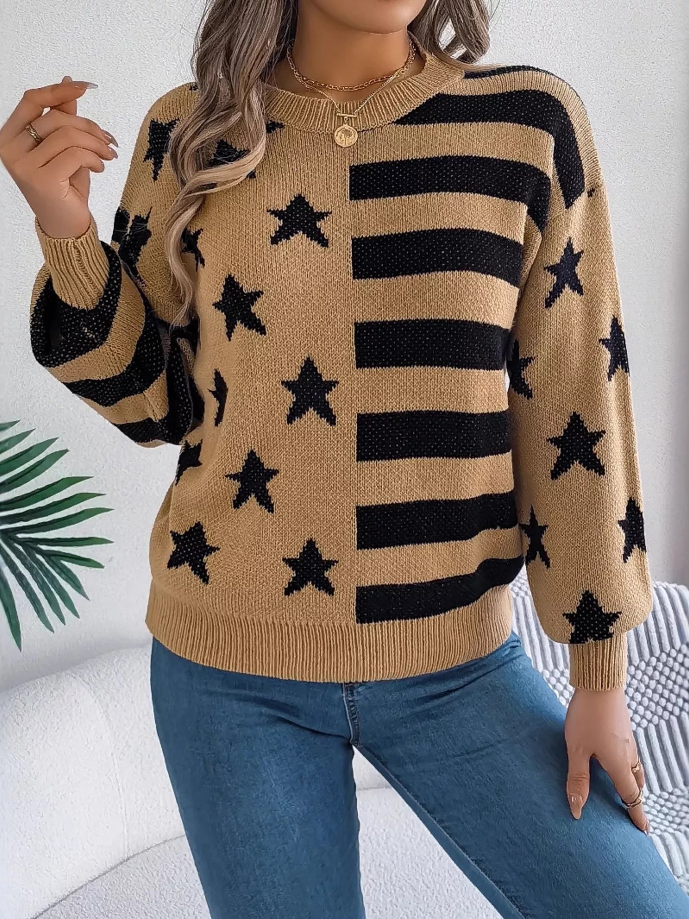 Stars and Stripes Pattern Casual Round Neck Sweater 