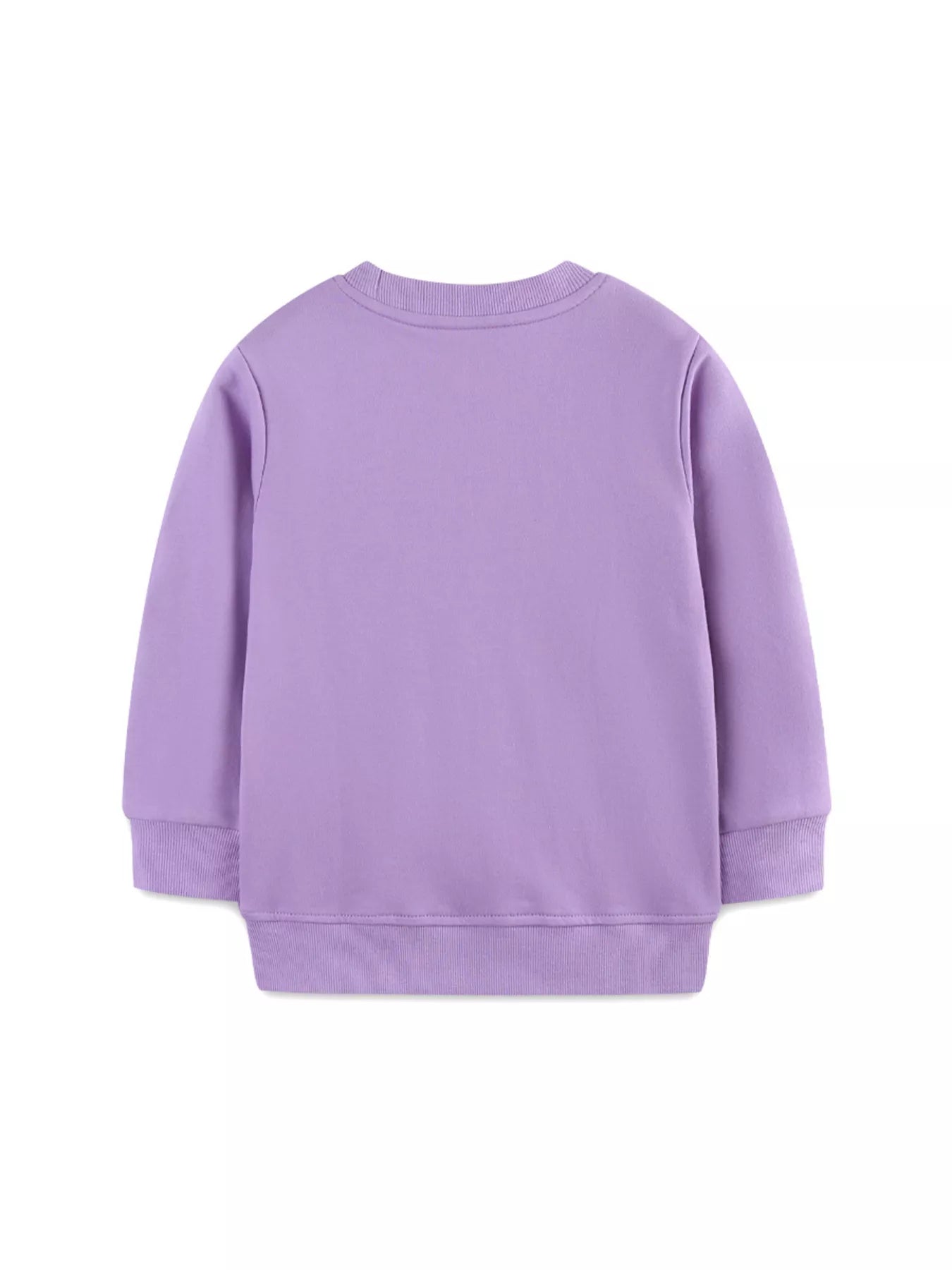 Children's Dinosaur Graphic Round Neck Sweatshirt 