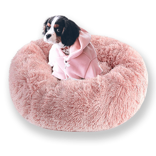 Calming Dog Bed - Removable Cover 