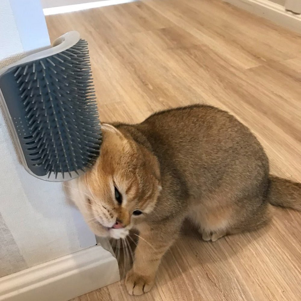 Cat Corner Grooming Massager with Adhesive Mount 