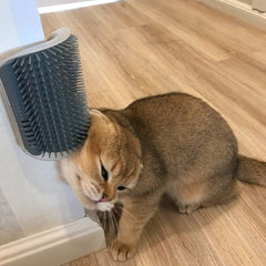Cat Corner Grooming Massager with Adhesive Mount 
