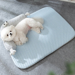 ChillNest | Keeps your pet cool and comfortable all year round 