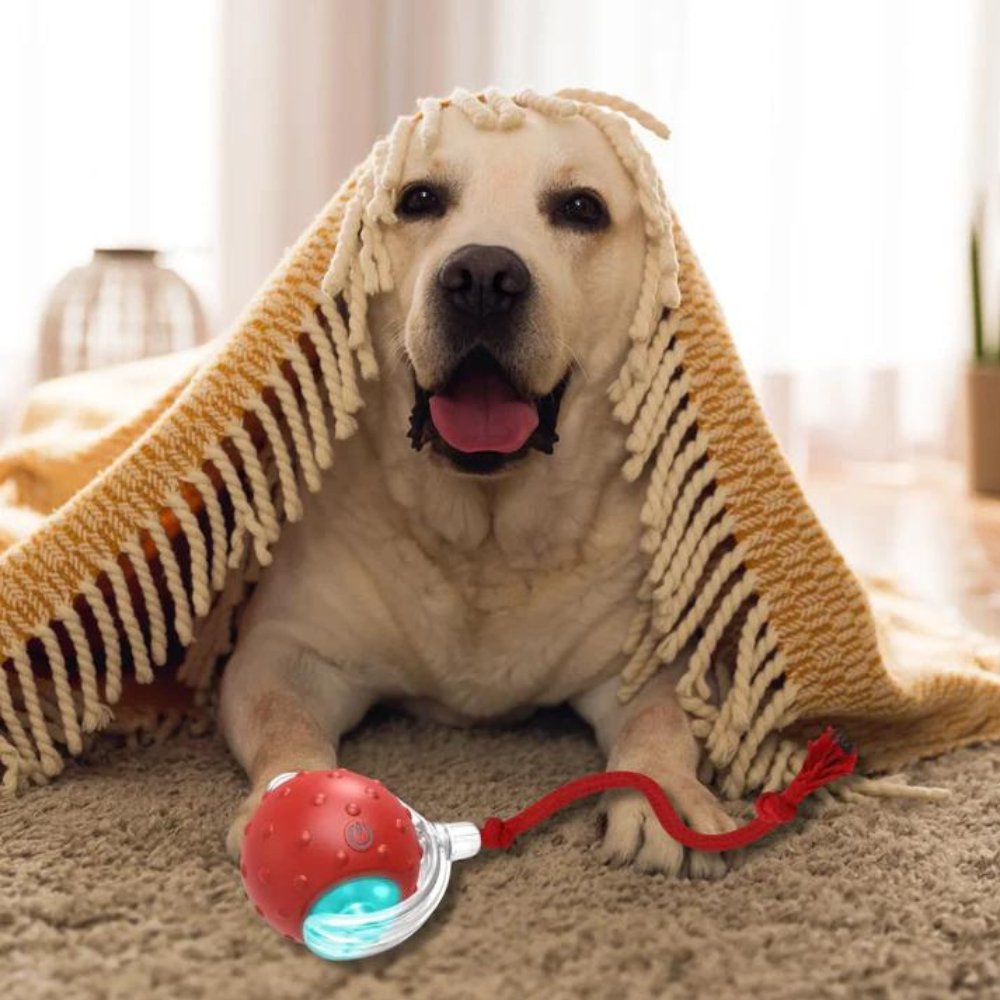 Clever ChewRoll Toy | Interactive Rolling Ball 