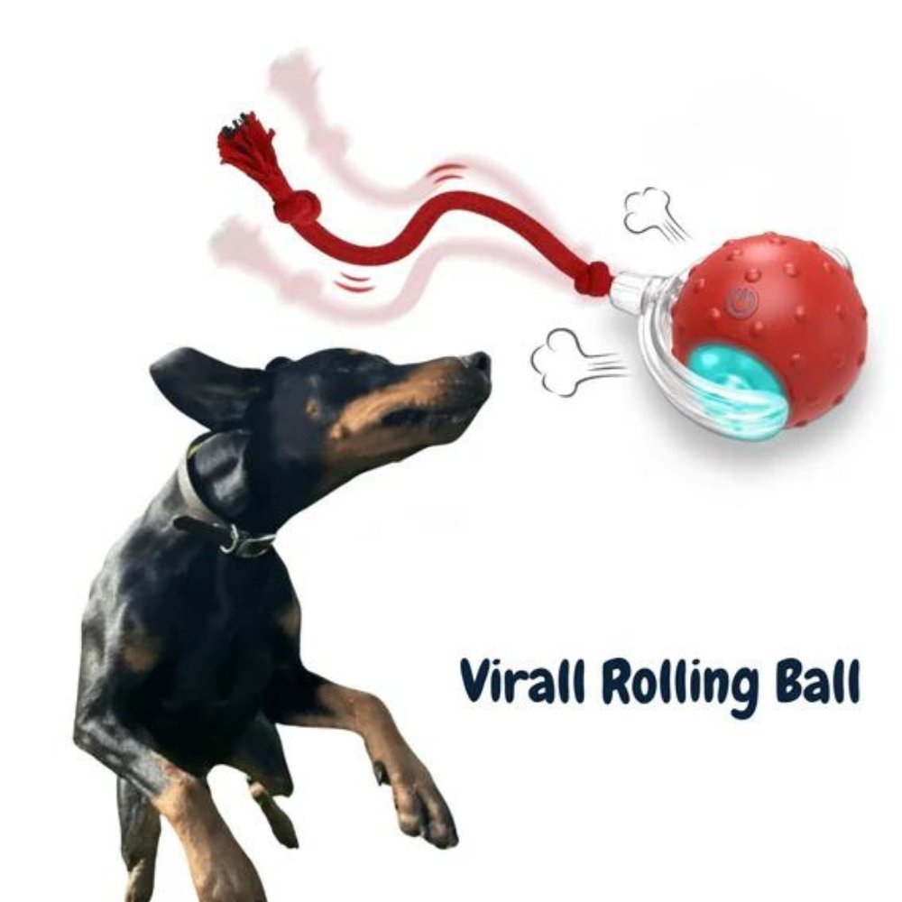 Clever ChewRoll Toy | Interactive Rolling Ball 