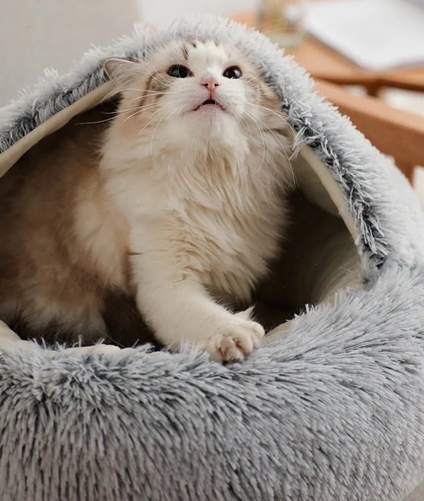 Coco Nest Bed | Orthopedic Plush Dog and Cat Bed 