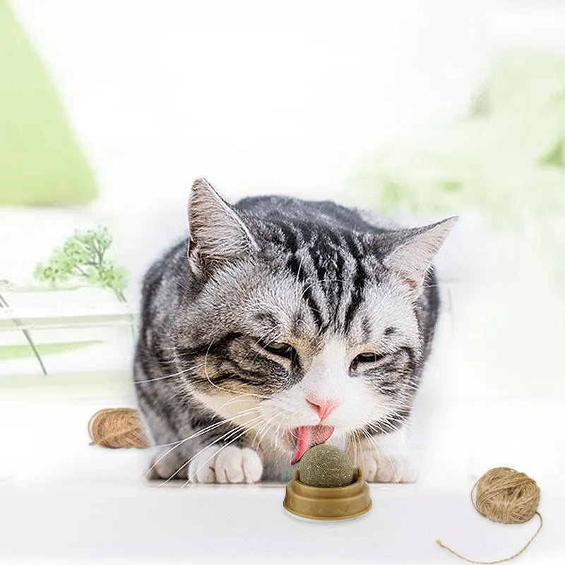 Catnip Balls Cat Treats: Fun, Healthy, and Irresistible for Your Cat 🐾 (3pcs) 