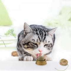 Catnip Balls Cat Treats: Fun, Healthy, and Irresistible for Your Cat 🐾 (3pcs) 