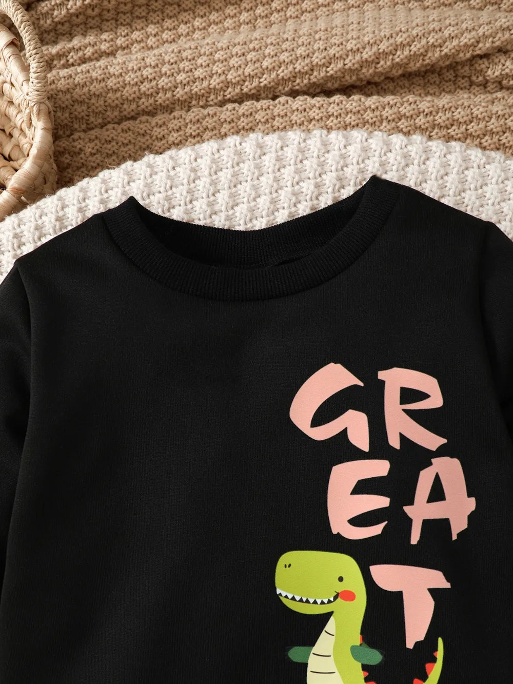 Children's Dinosaur Graphic Sweatshirt and Pants Set 