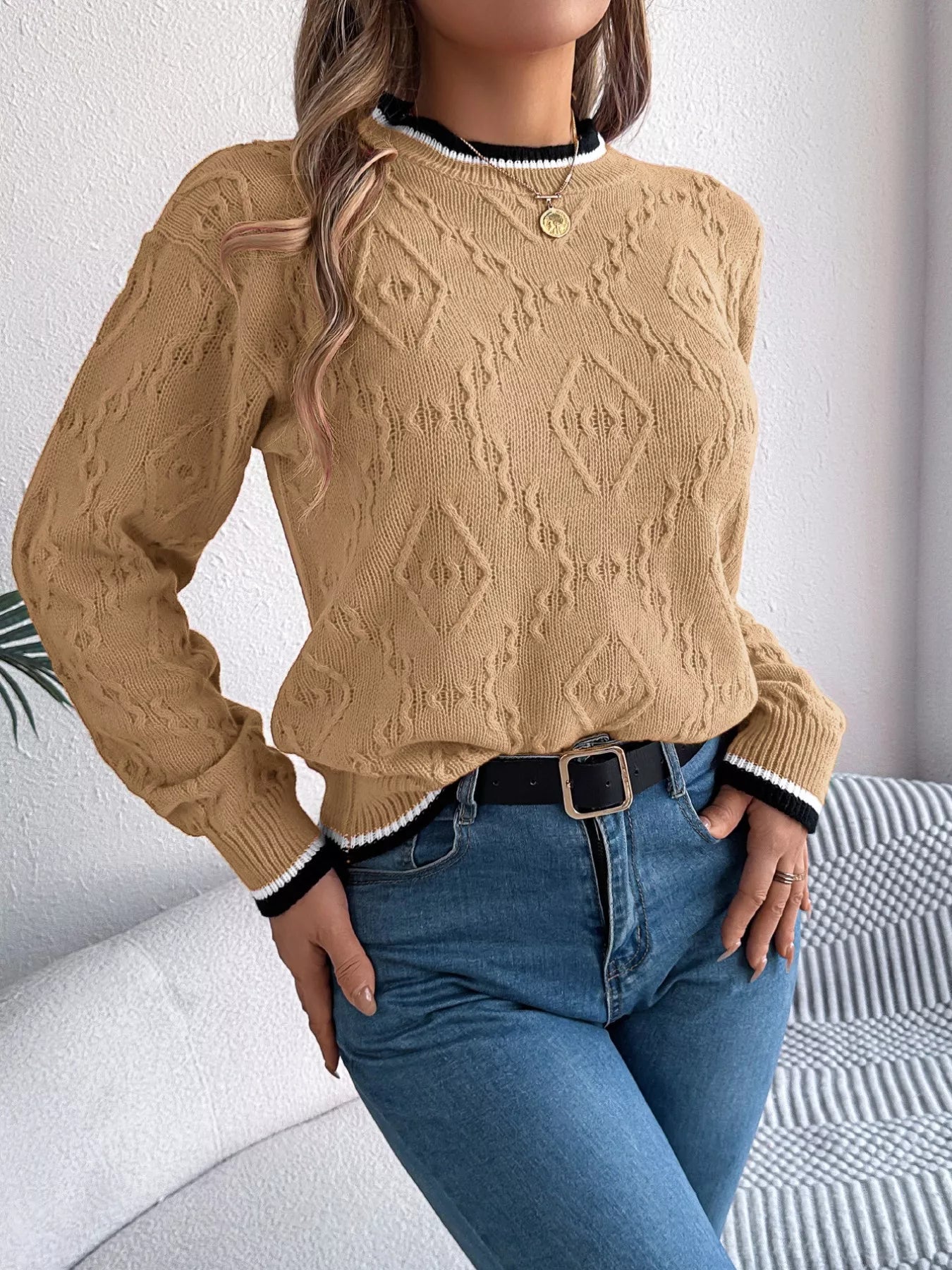 Contrast Trim Round Neck Sweater 