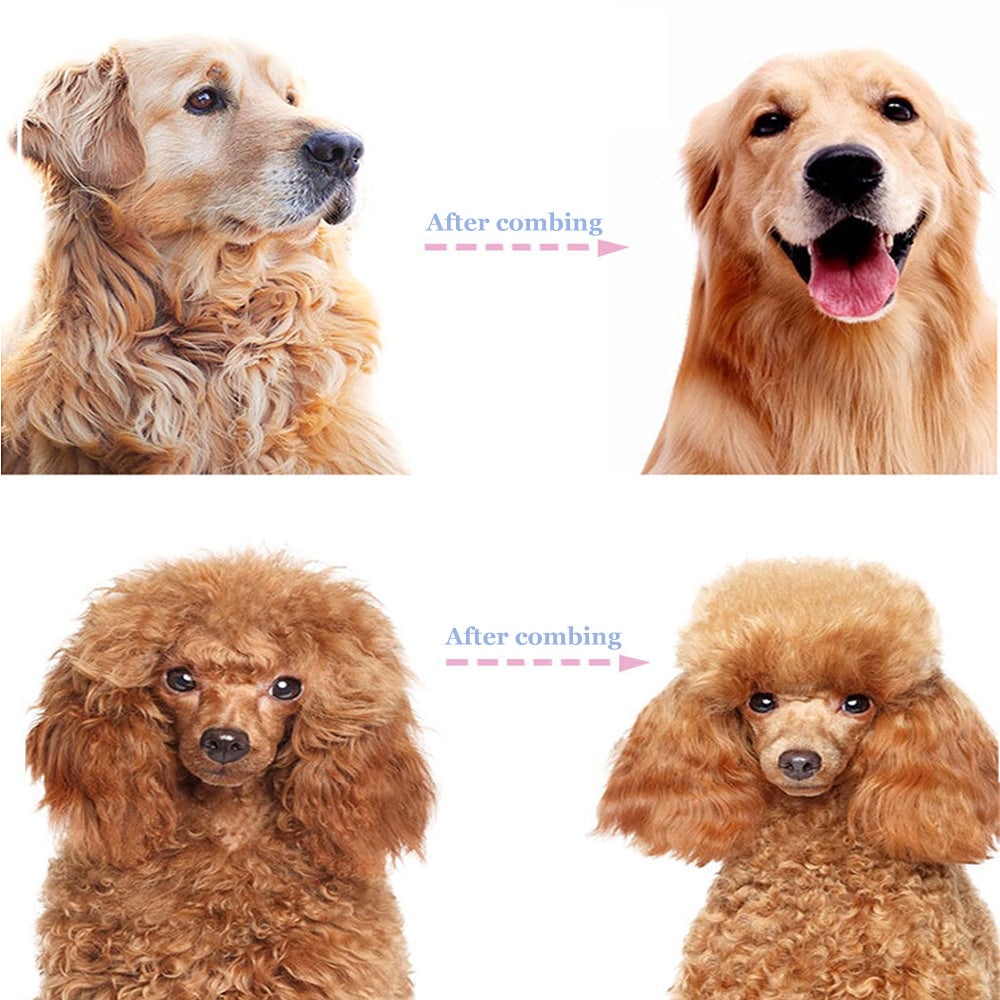 Daily Coat Rake | 2-In-1 Deshedding And Dematting Comb For Medium To Large Dogs 