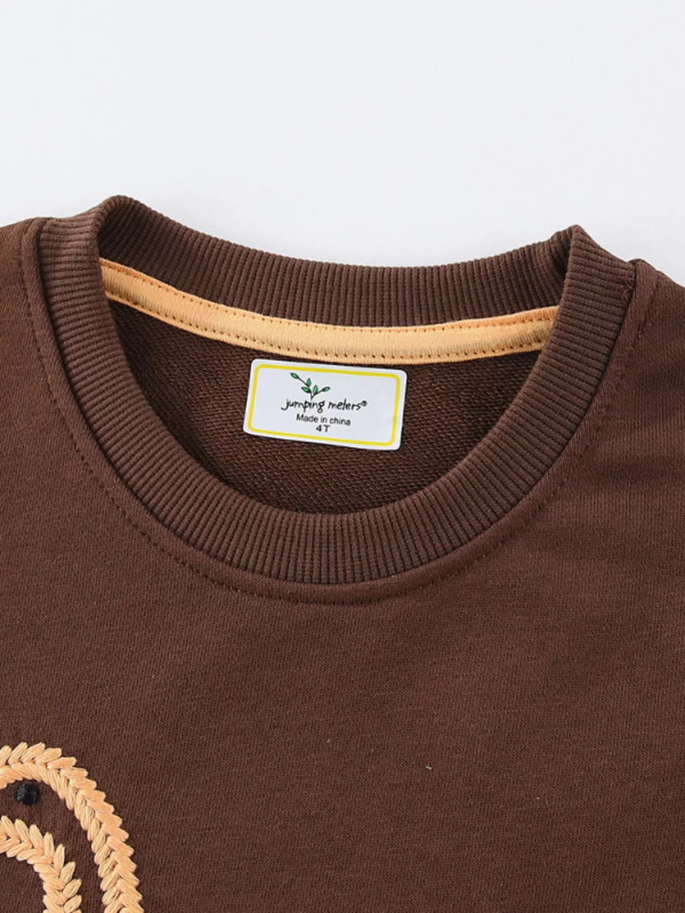 Children's Dinosaur Embroidered Crew Neck Sweatshirt 