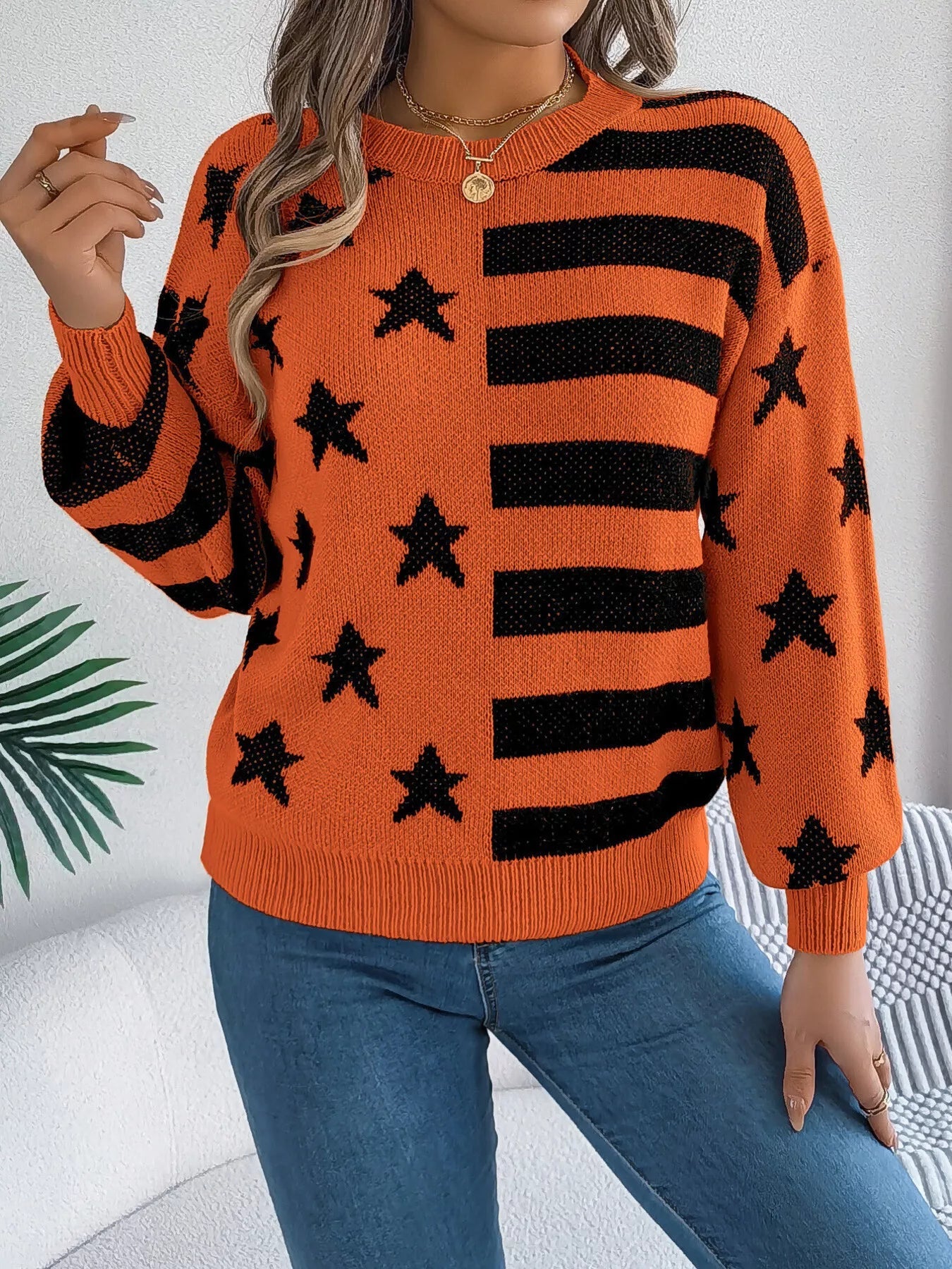 Stars and Stripes Pattern Casual Round Neck Sweater 
