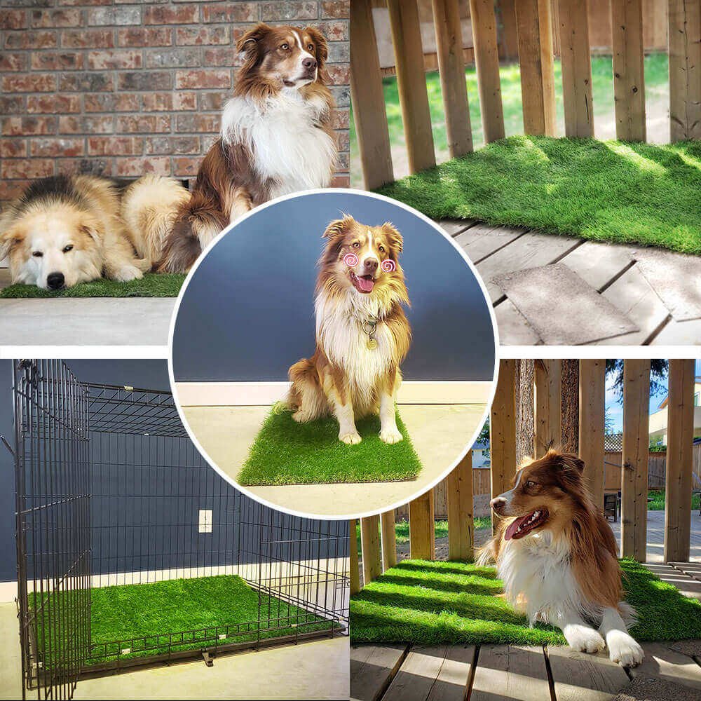 DwellTurf Indoor Dog Potty Mat | Washable Grass Relief Pads for Training 