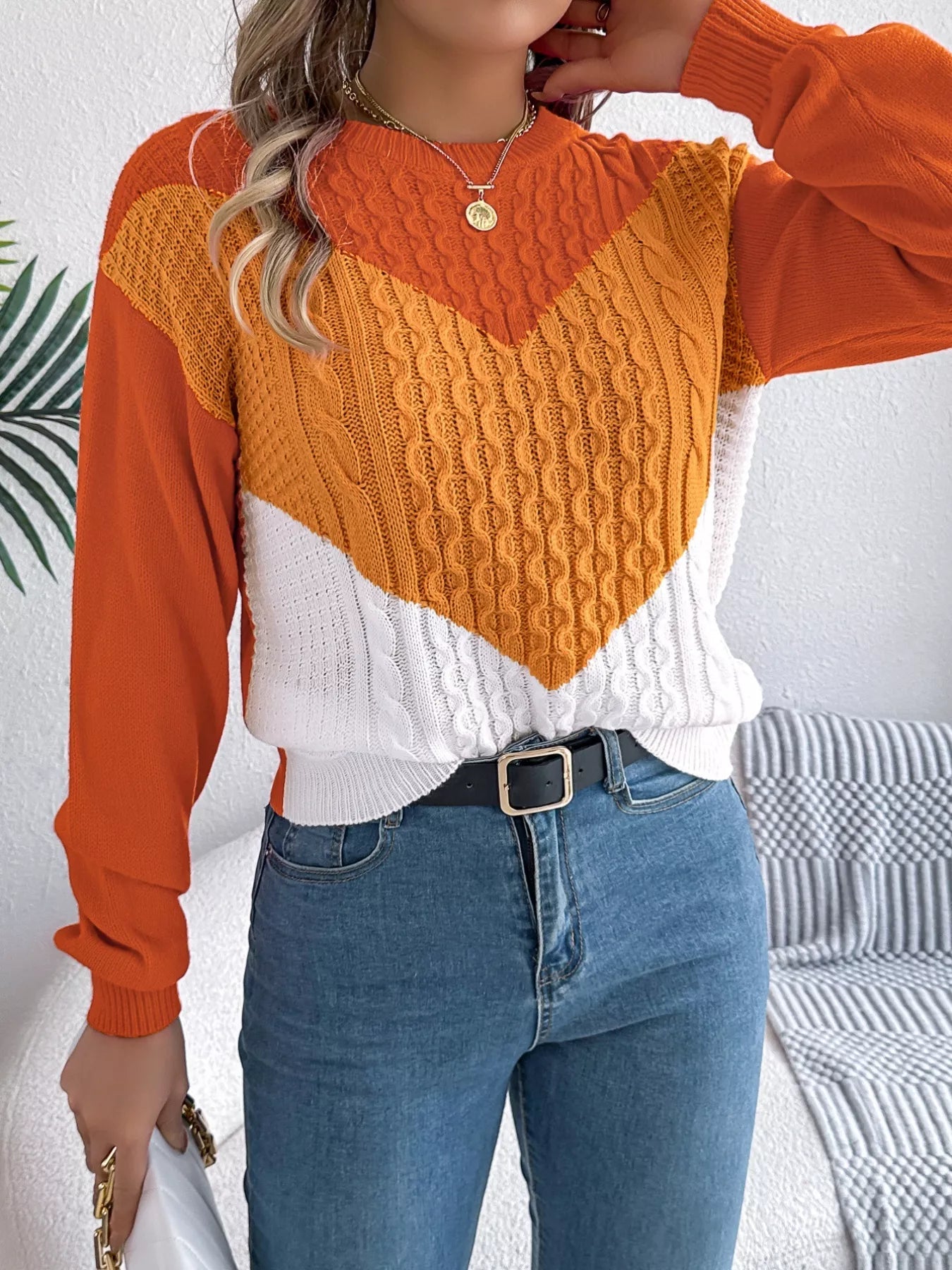Color Block Cable Knit Sweater 