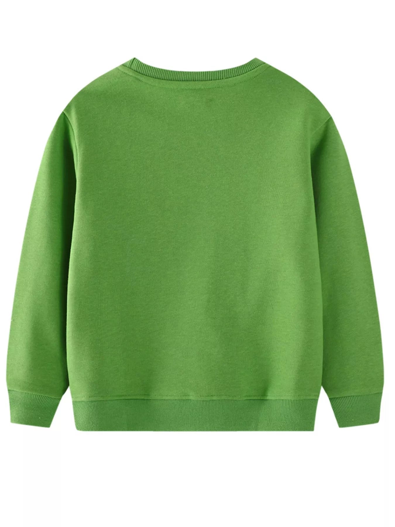 Children's Dinosaur Embroidered Crew Neck Sweatshirt 