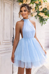 Halter Neck Backless Mesh Dress 