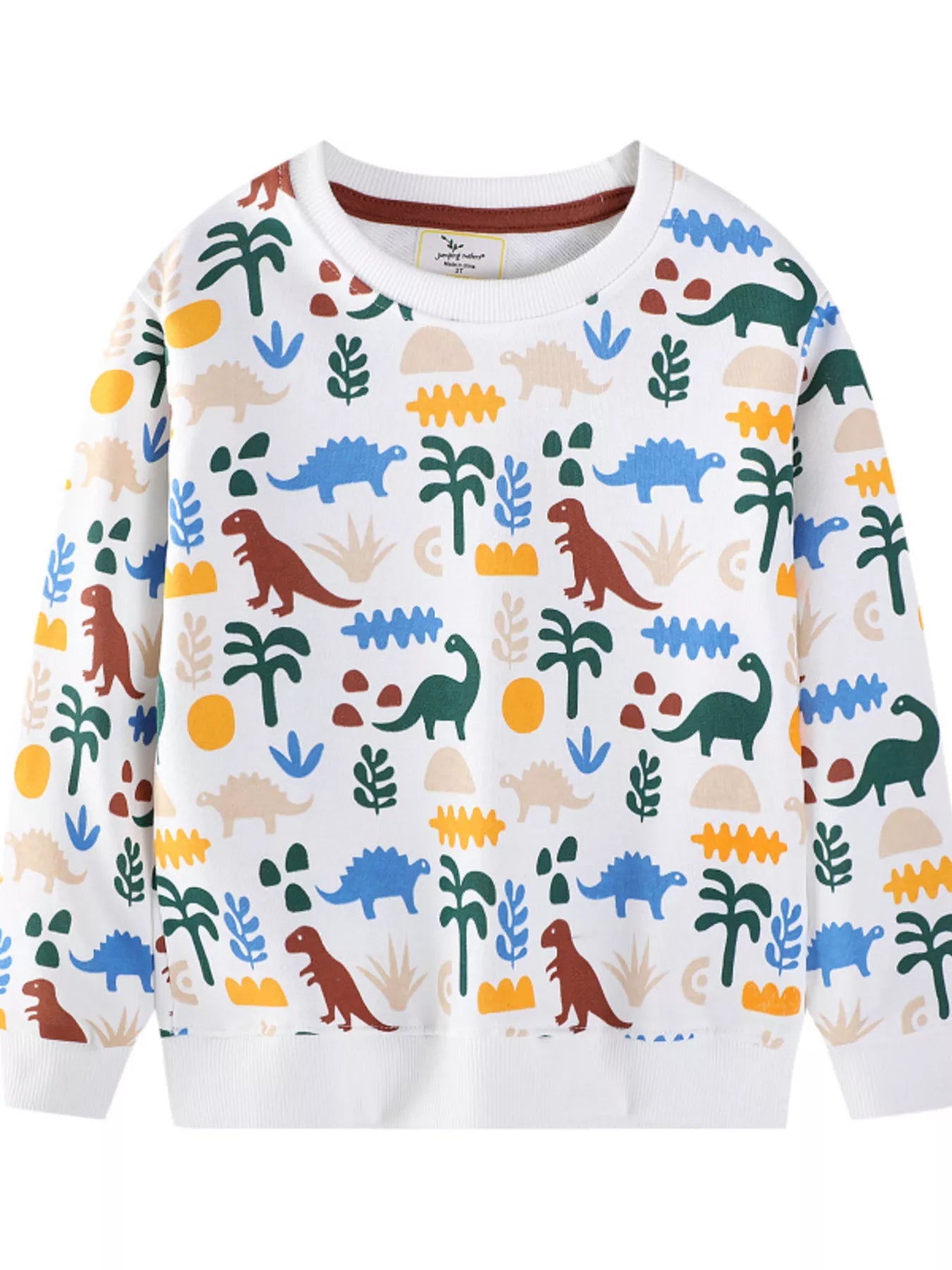 Children's Dinosaur Print Crew Neck Sweatshirt 