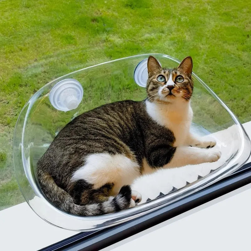 CatLounge  | Ultimate comfort and entertainment for your cat 
