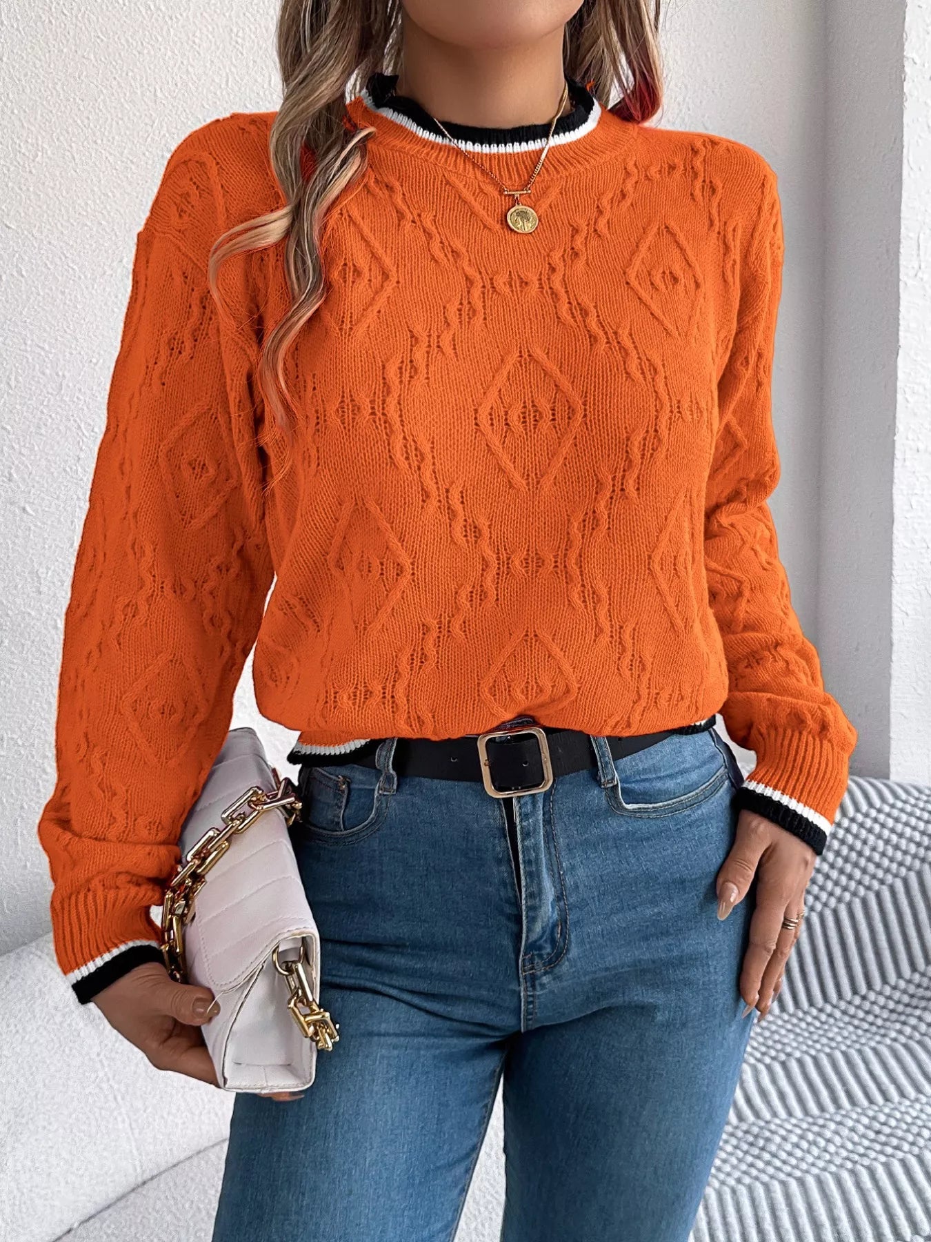 Contrast Trim Round Neck Sweater 