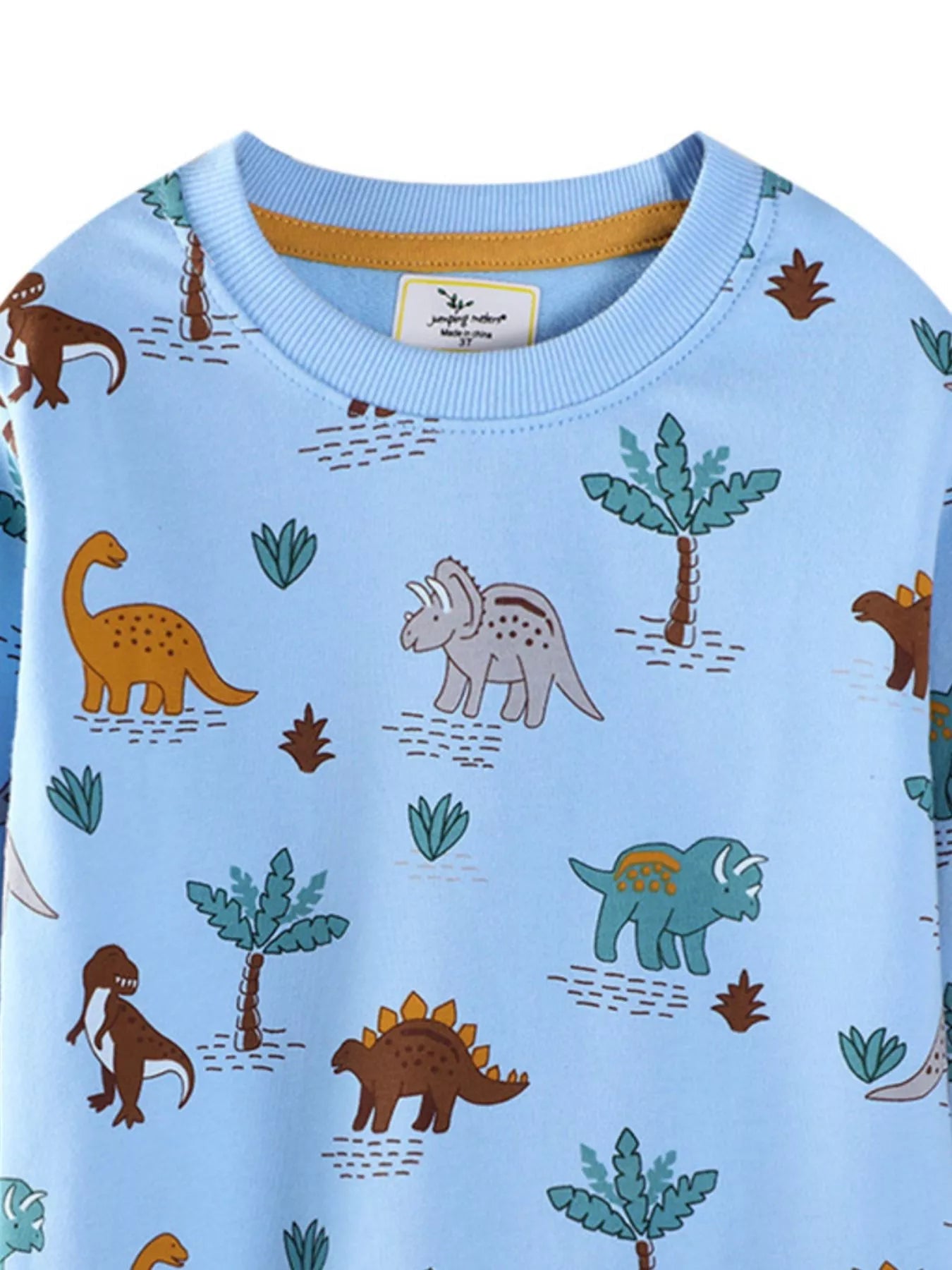 Children's Dinosaur Print Crew Neck Sweatshirt 