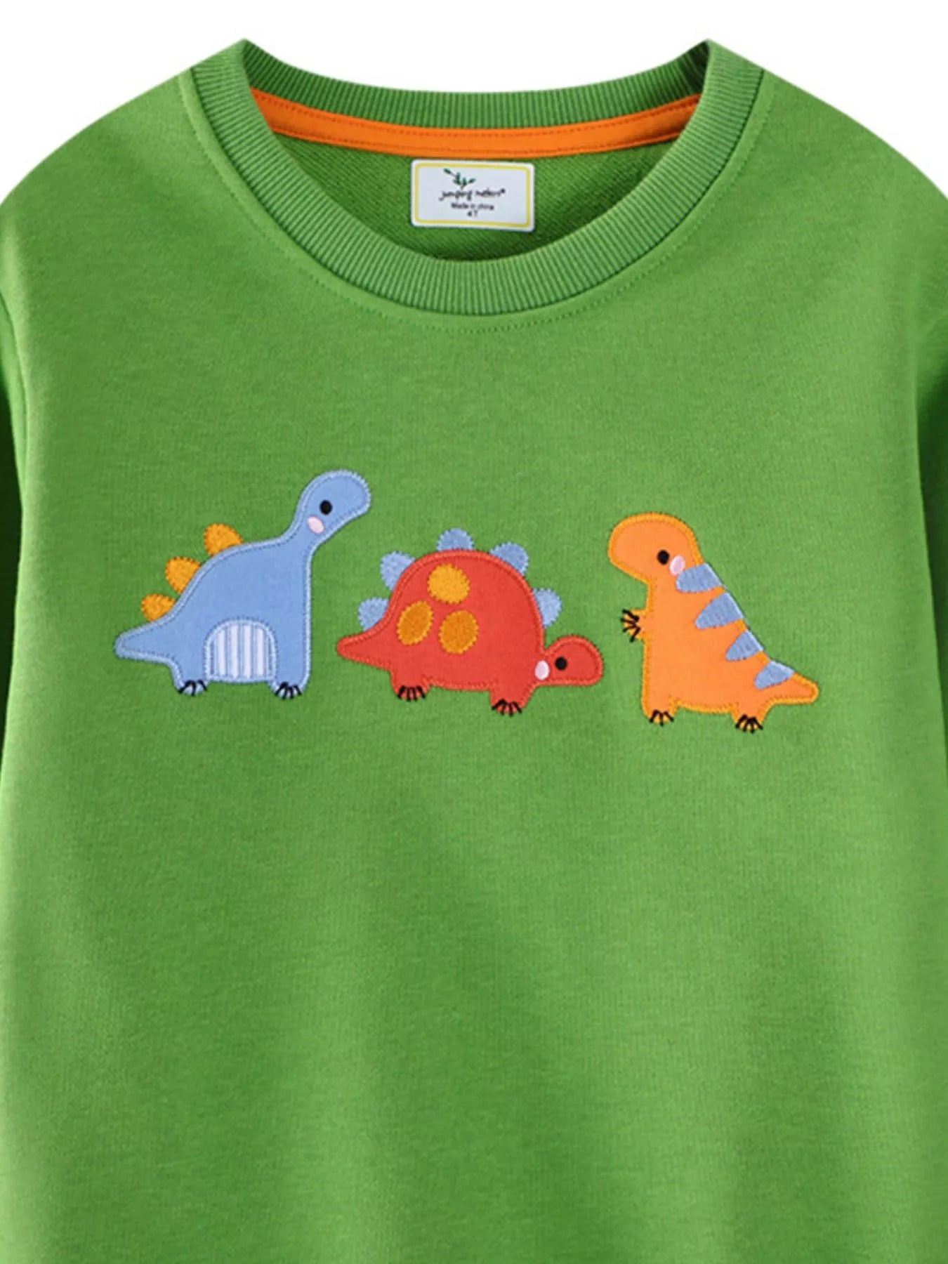 Children's Dinosaur Embroidered Crew Neck Sweatshirt 