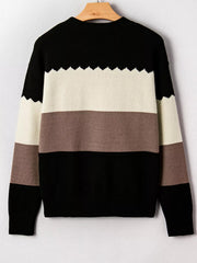 Color Block Crew Neck Drop Shoulder Sweater 