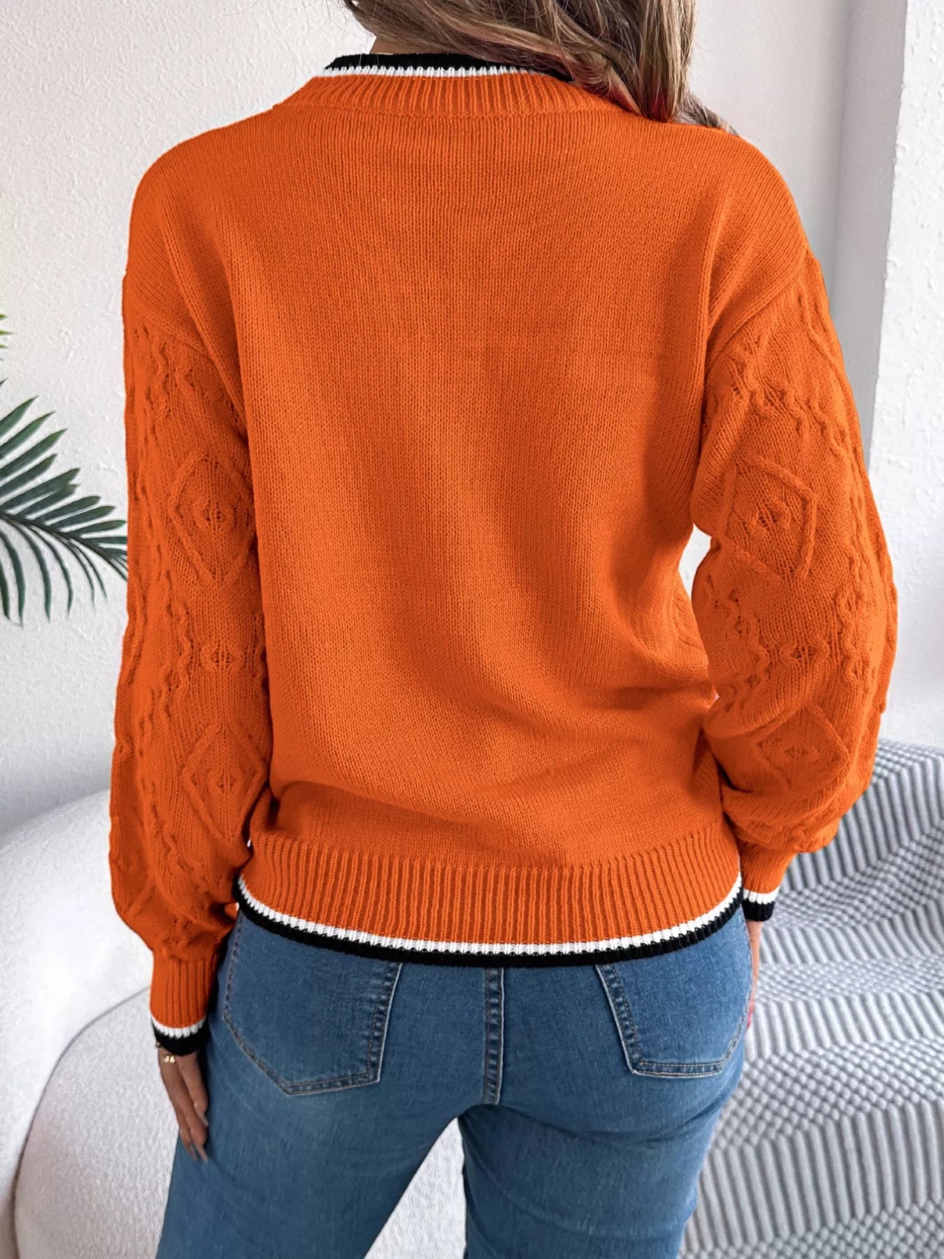 Contrast Trim Round Neck Sweater 