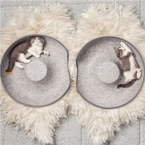 Felynn — Durable Felt Cat Tunnel and Cozy Resting Spot 