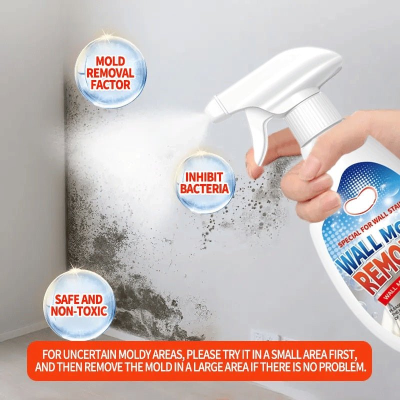HomeGuardPro™ — Crush Mould Instantly and Shield Your Home for Good 