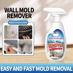 HomeGuardPro™ — Crush Mould Instantly and Shield Your Home for Good 