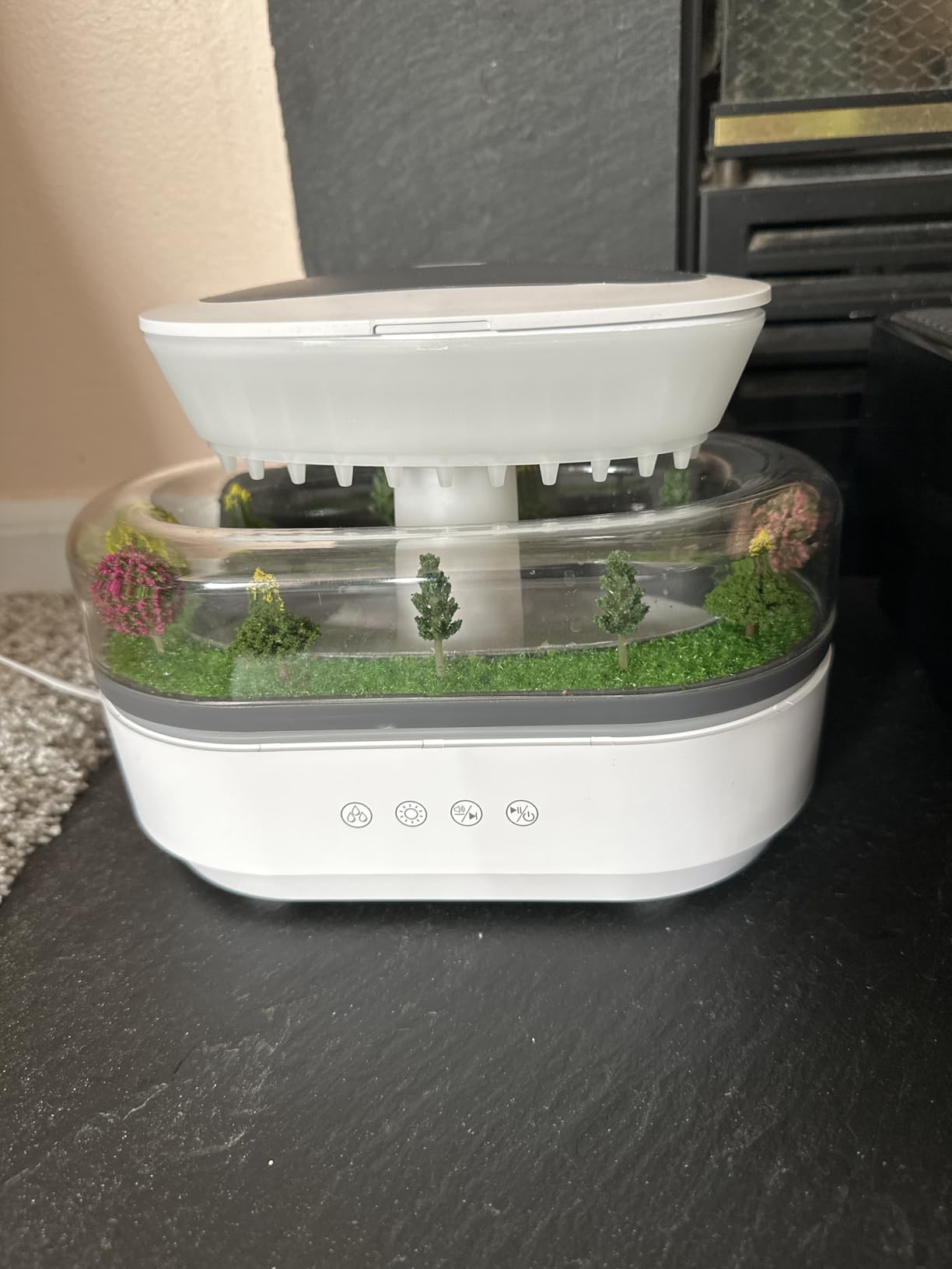 My plants are thriving again
