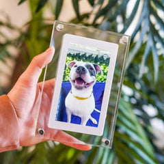 Melo Digital Picture Frame | 5-Inch Transparent, Quick Upload 