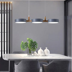 Modern Metal Pendant Ceiling Light with Nordic Design for Kitchen and Living Room